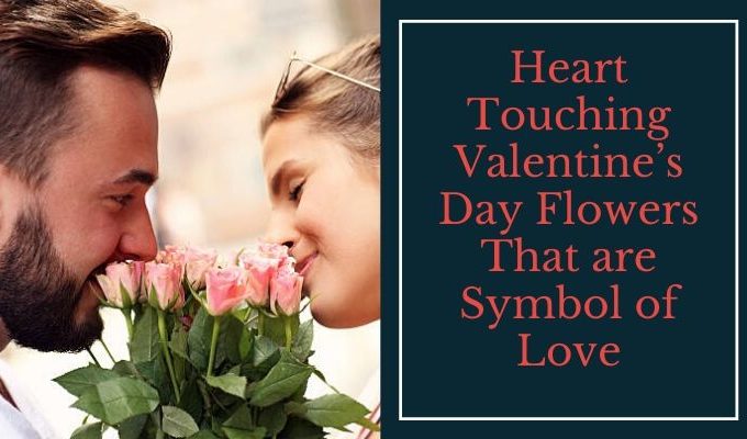 7 Heart touching Valentine’s Day flowers that are symbol of Love