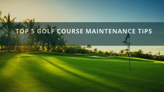 Top 5 Golf Course Maintenance Tips