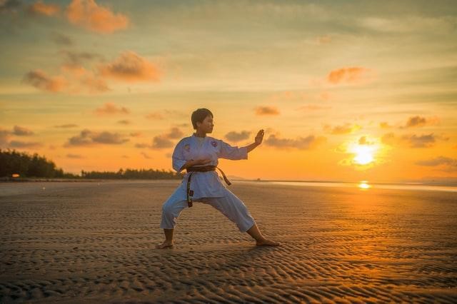 Martial Arts and Your Fitness Dream