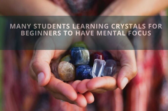 Many Students Learning Crystals for Beginners to Have Mental Focus
