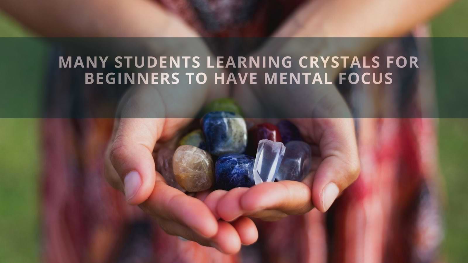 Many Students Learning Crystals for Beginners to Have Mental Focus