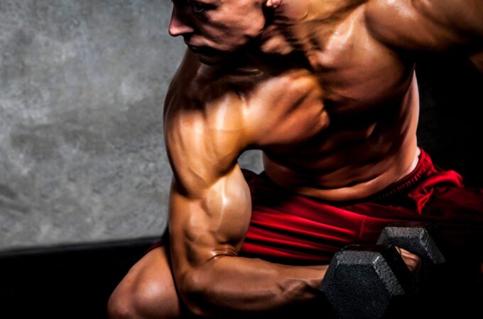 Tips to Consider When Looking for Steroids Suppliers