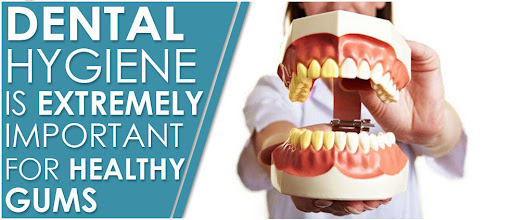 Seeking a Family Dentist in Medicine Hat? Here’s When You Might Need Them.