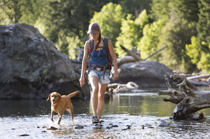 Pet-Friendly Activities for Active Lifestyles