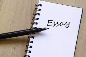 Ways to Be Less Wasteful in Your Essay Writing