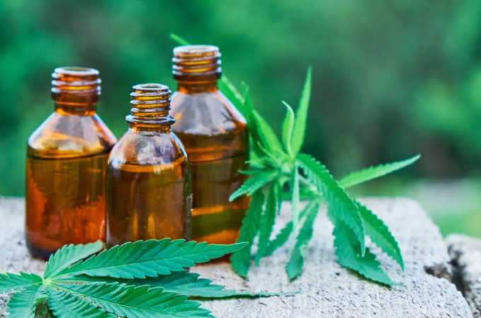 Healing Hemp: A Look at How It Can Help With Chronic Illness