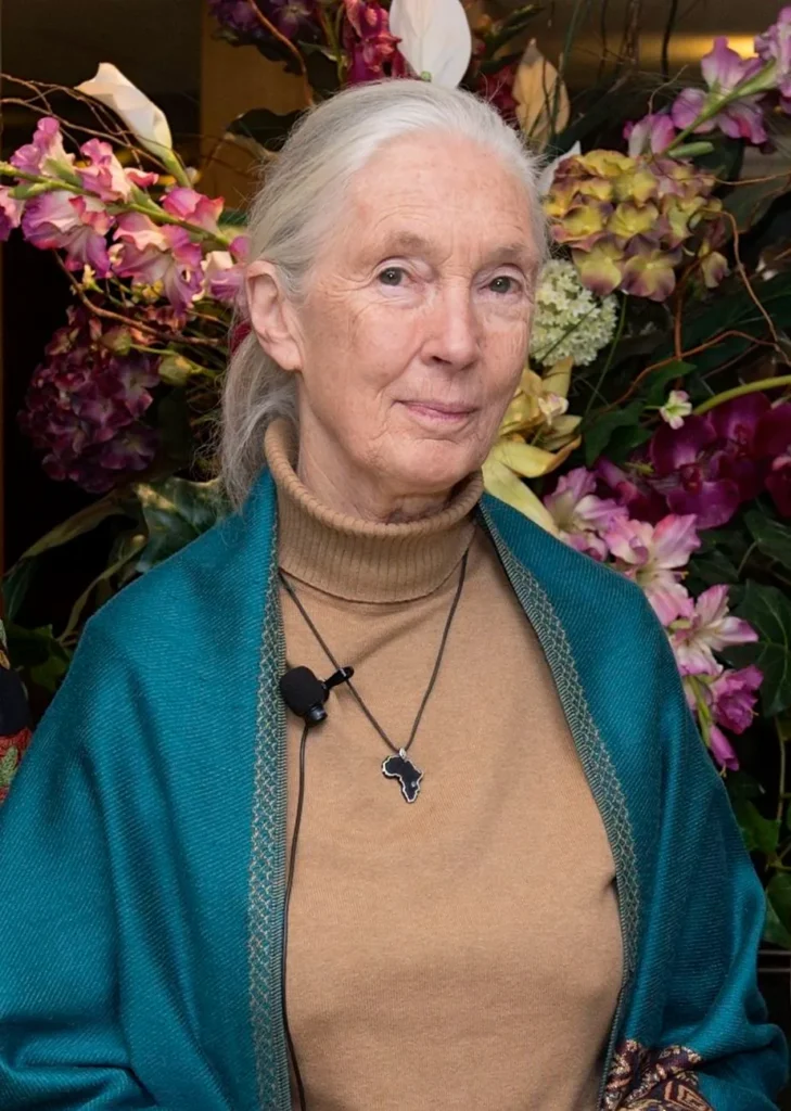 jane goodall