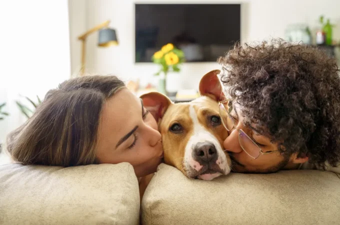 How to Nurture a Family Connection With Your Dog