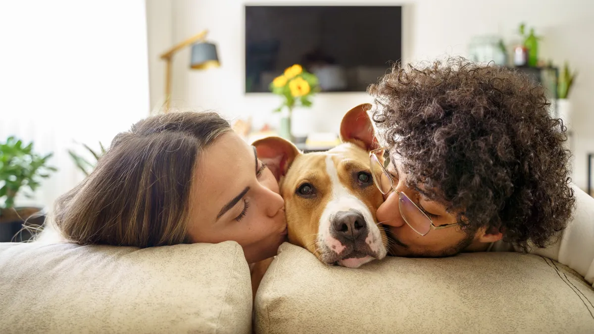 Nurture a Family Connection With Your Dog