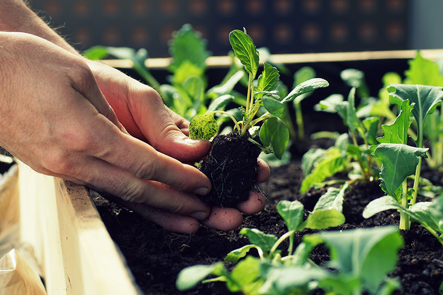 Proper Plant Maintenance