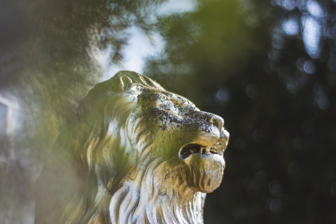 Majestic lion representing the proud, sun-ruled Leo zodiac sign