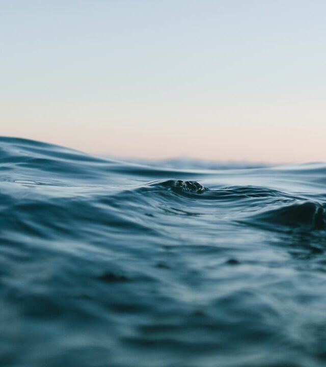 Pisces Personality: Traits, Love, Career and Birthstones