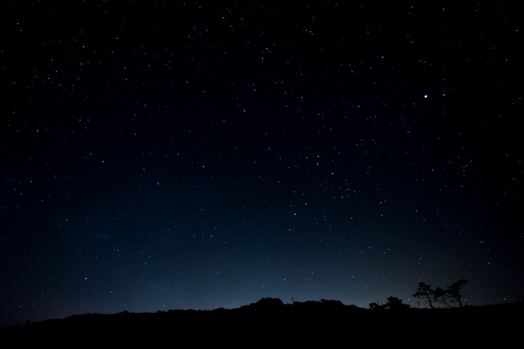 Starry night sky with constellations representing the twelve zodiac signs