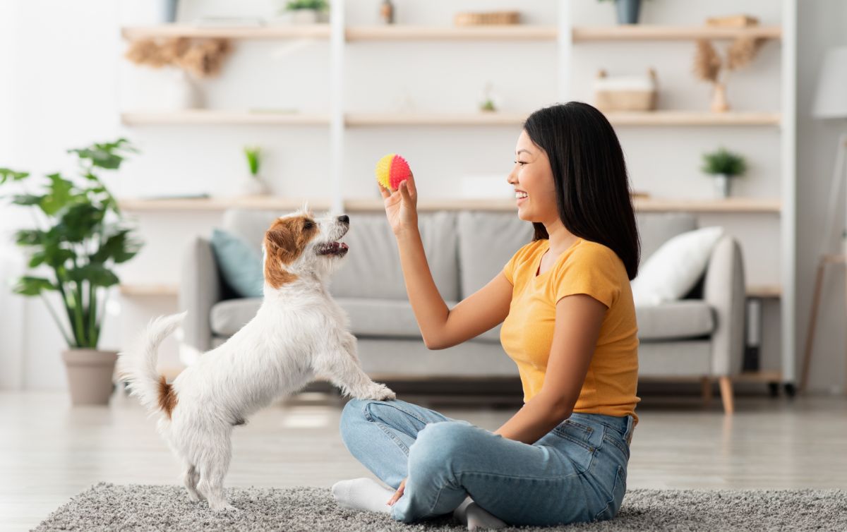 Essential Safety Protocols for Dog Daycare Facilities
