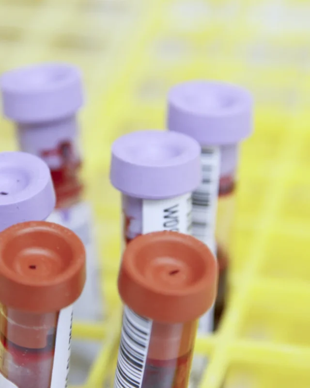 The Hidden Fragility Of Untested Biology