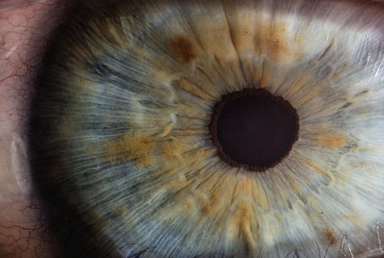 Macro close-up of a human eye