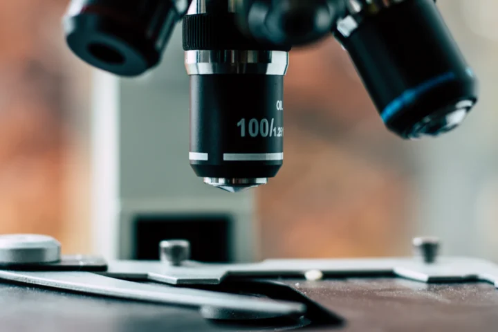 The Microscopic Realities We Choose To Ignore